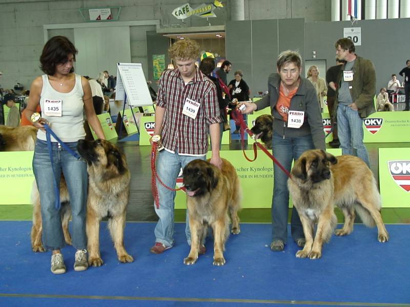 Salzburg Clubschau Mai 06 023 